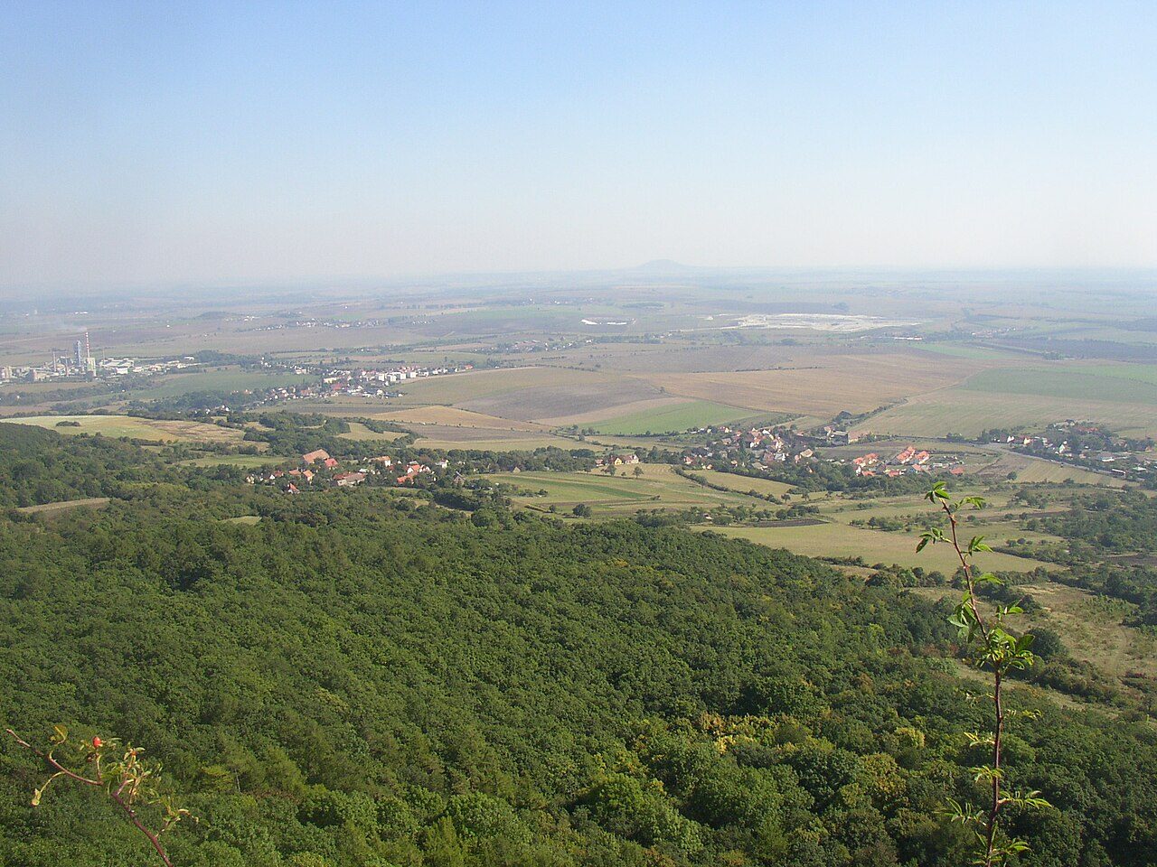 Jenčice