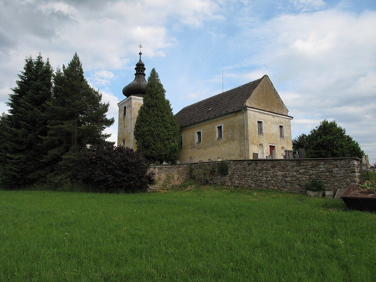 Skořice