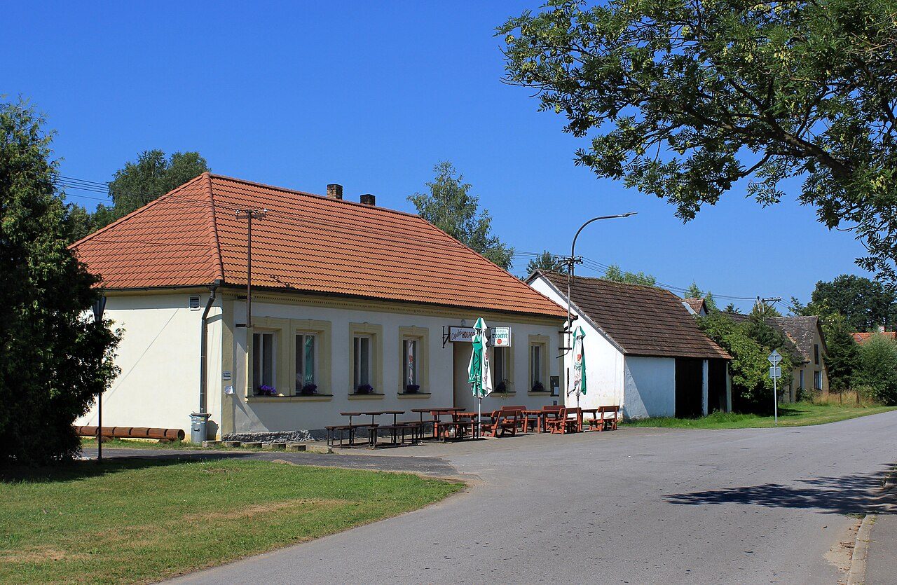 Cep