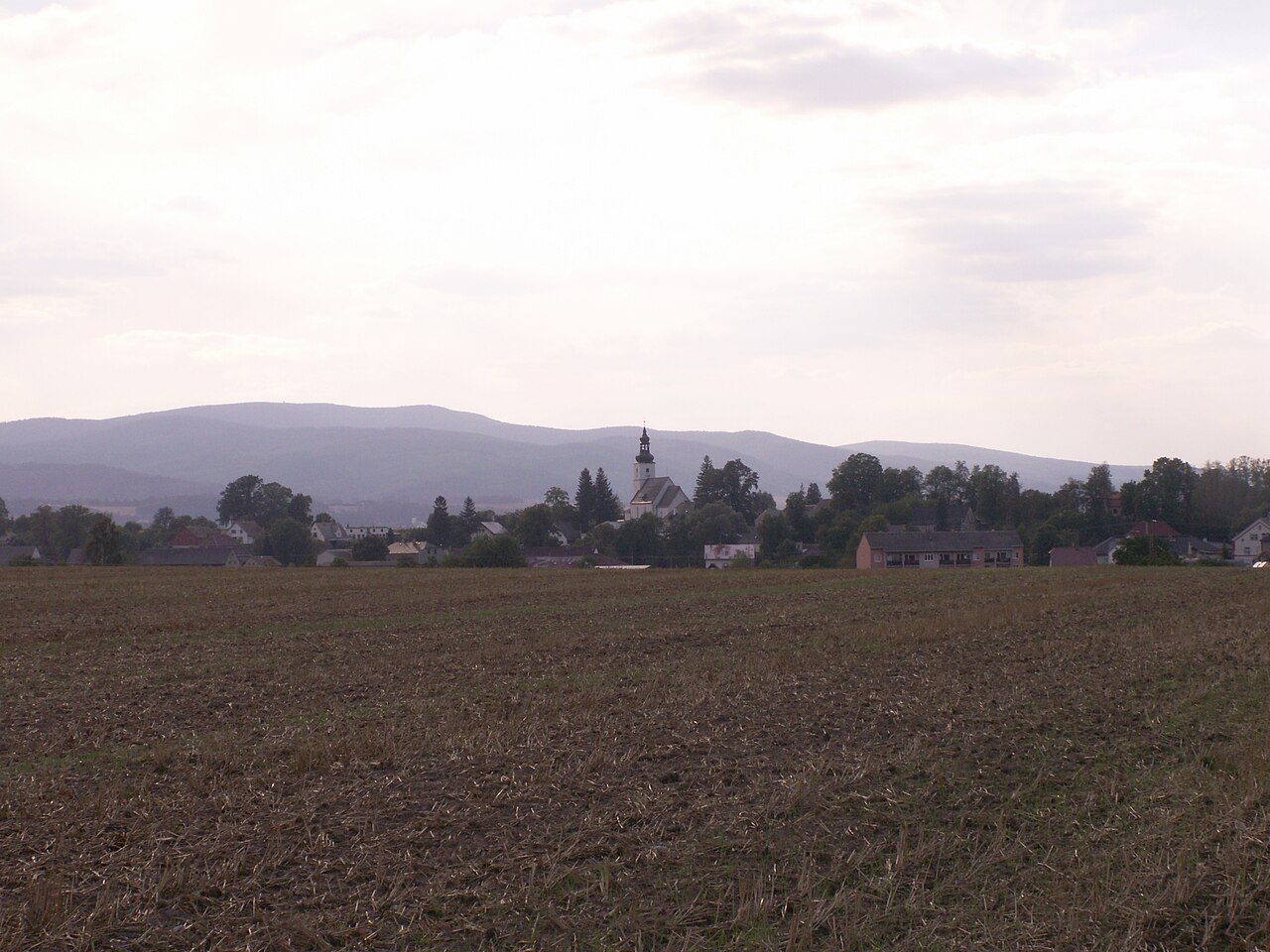 Bernartice