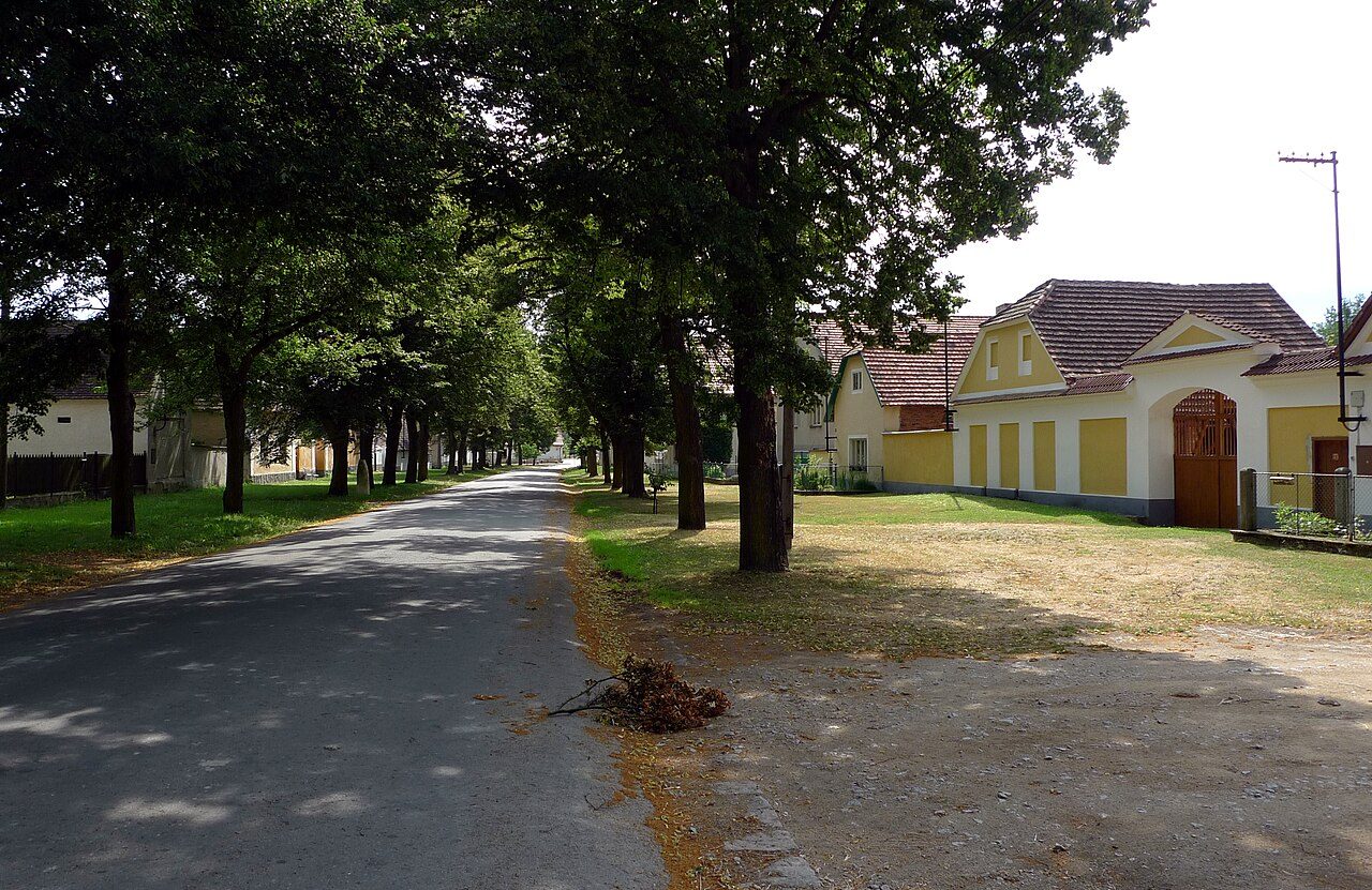 Buzice