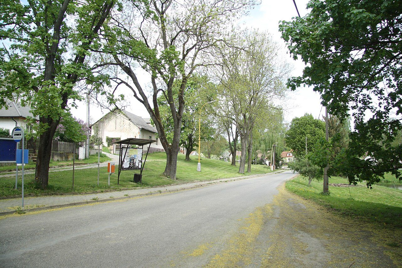 Borovnice