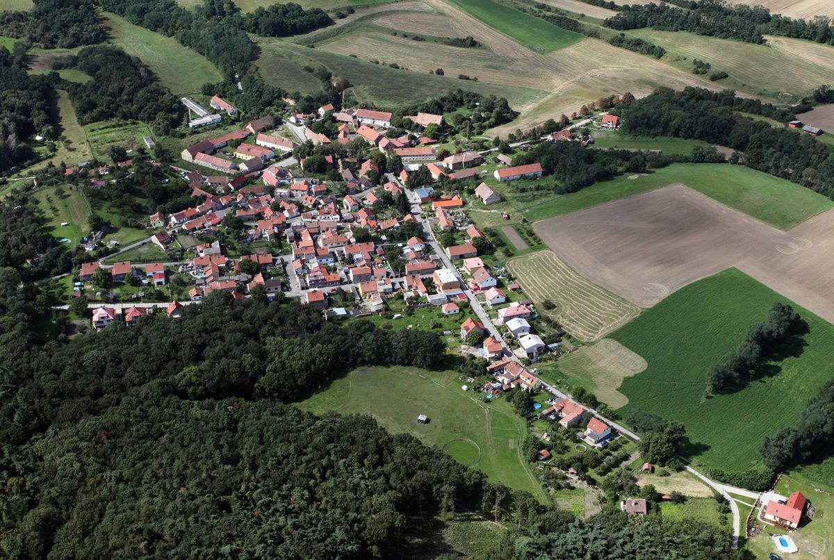 Blevice