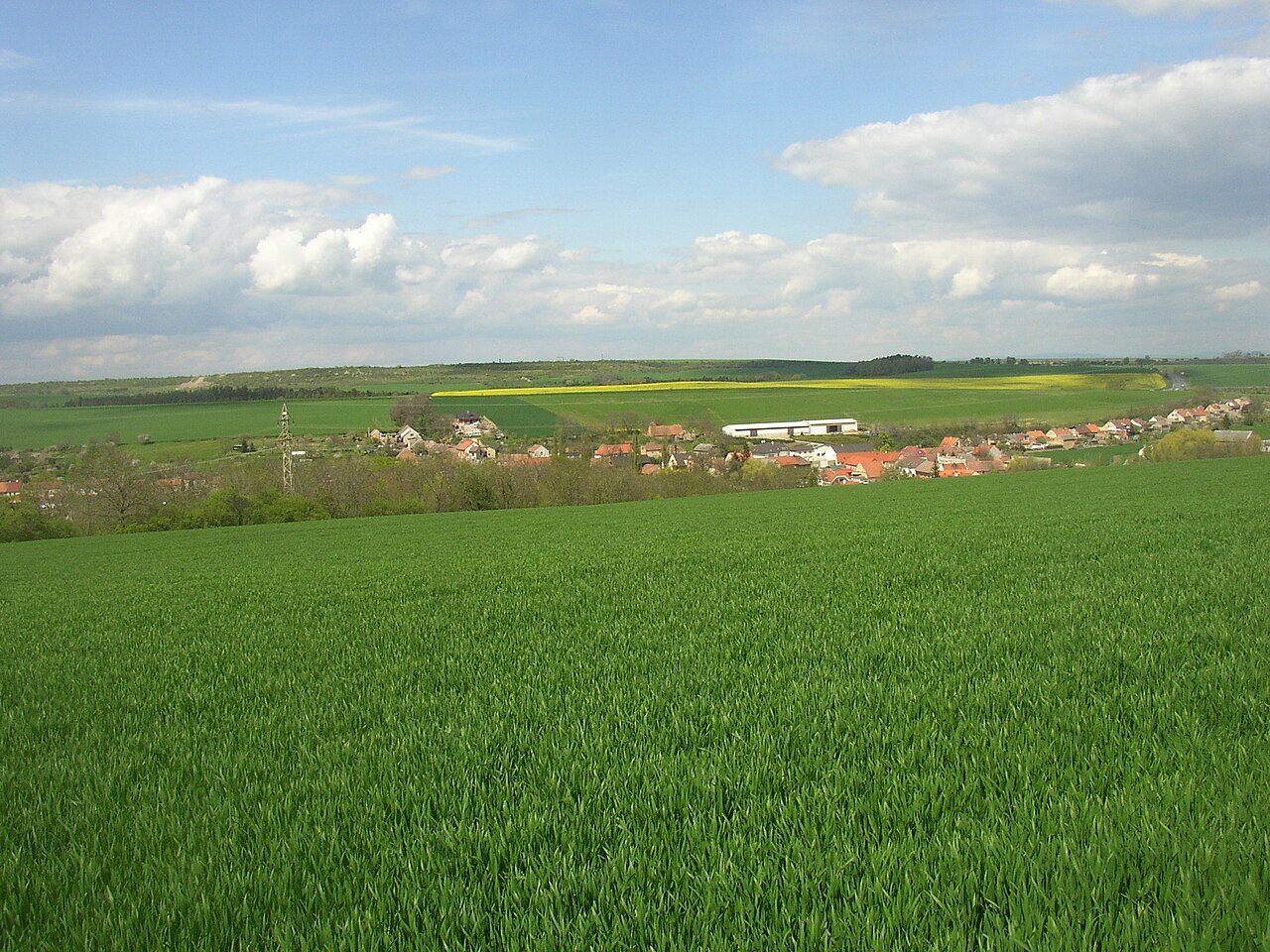 Jemníky
