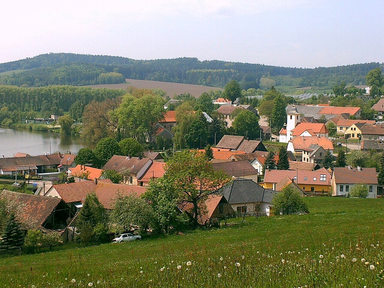 Popovice