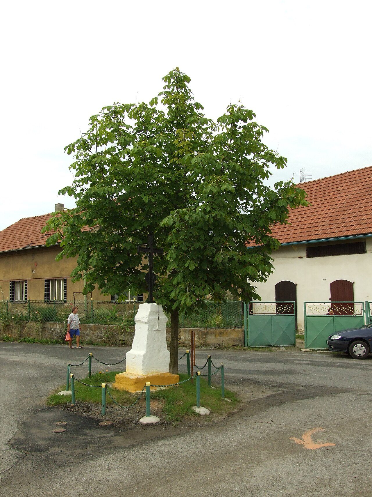 Bílichov