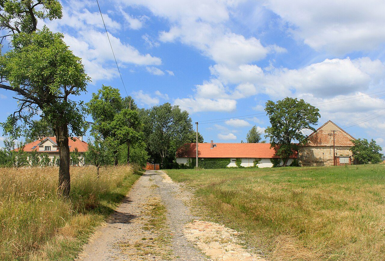 Petkovy