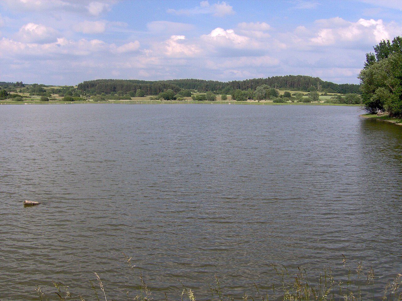 Mnichov