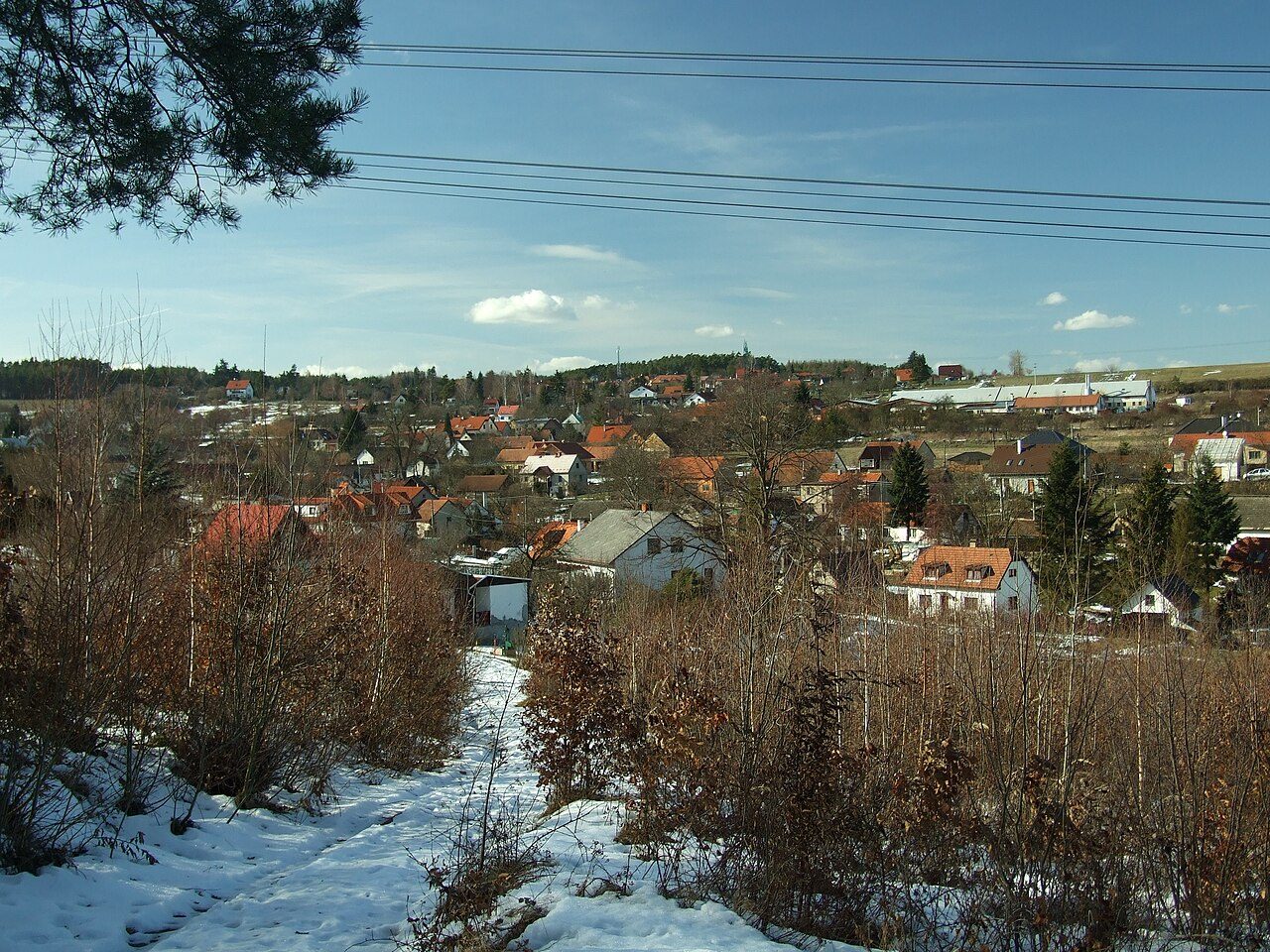Hvozdnice