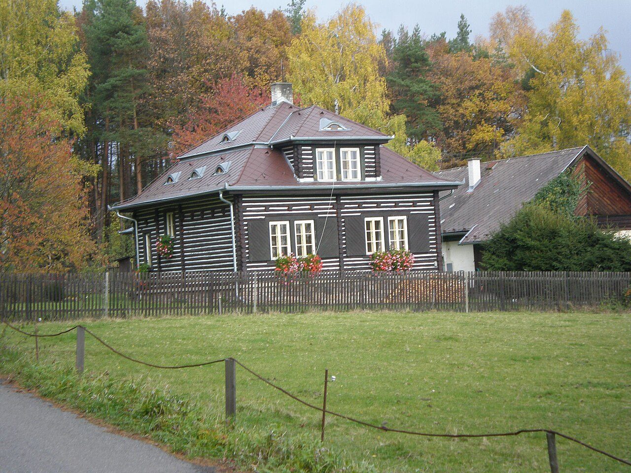 Láz