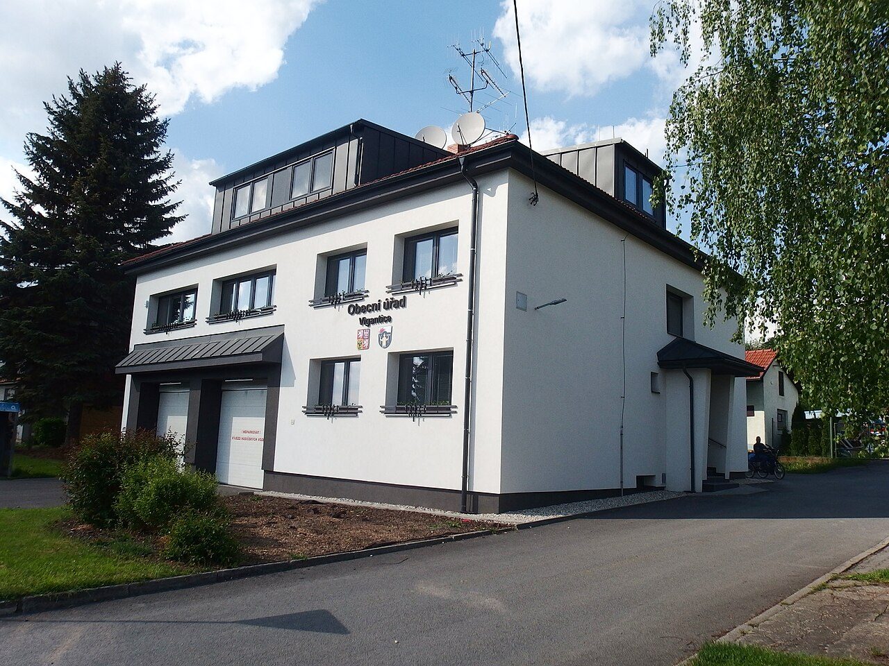 Vigantice