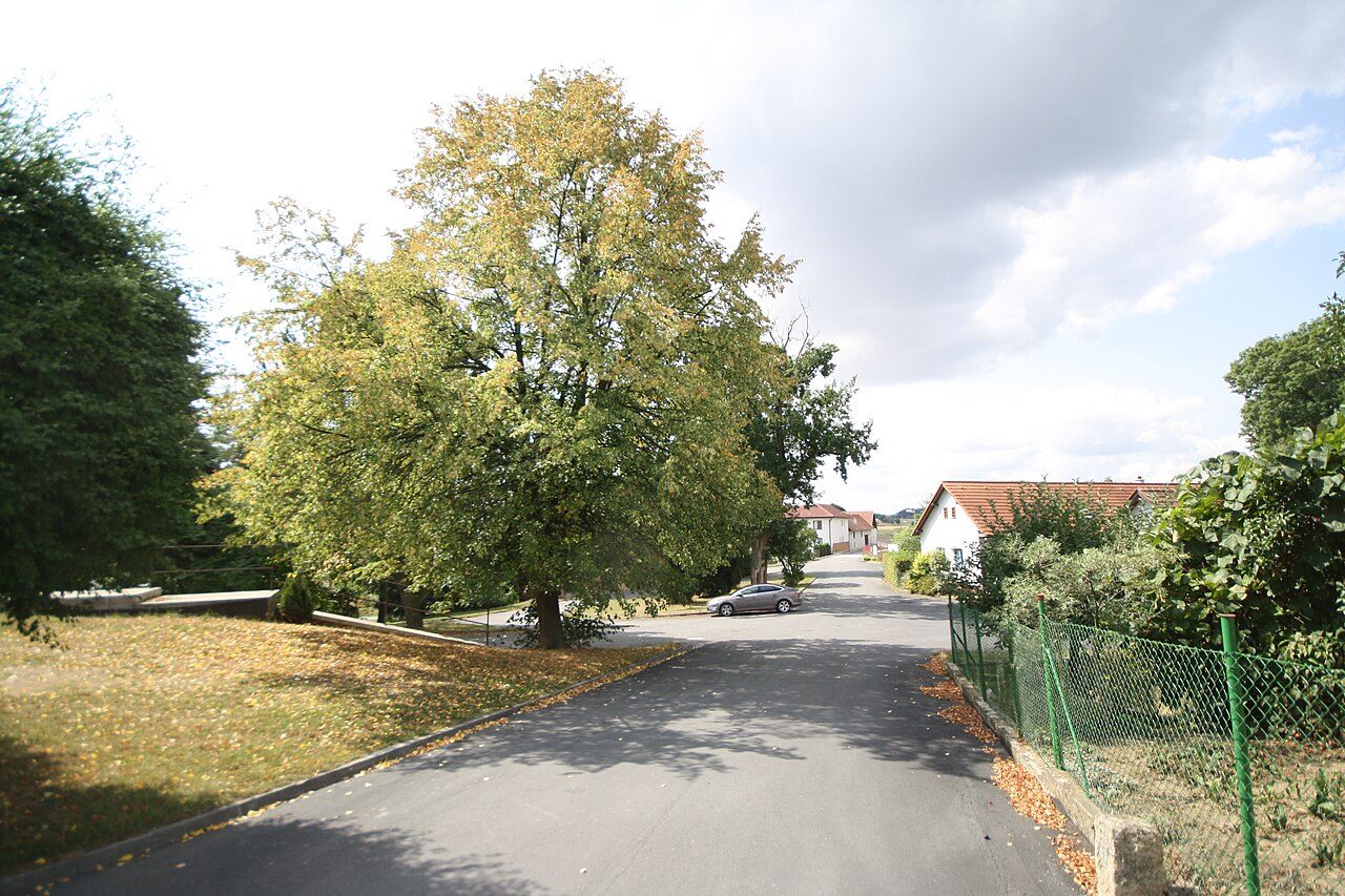 Ježov