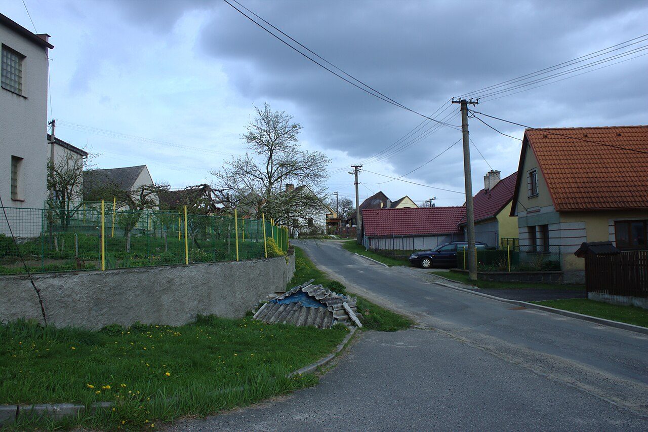 Tužice