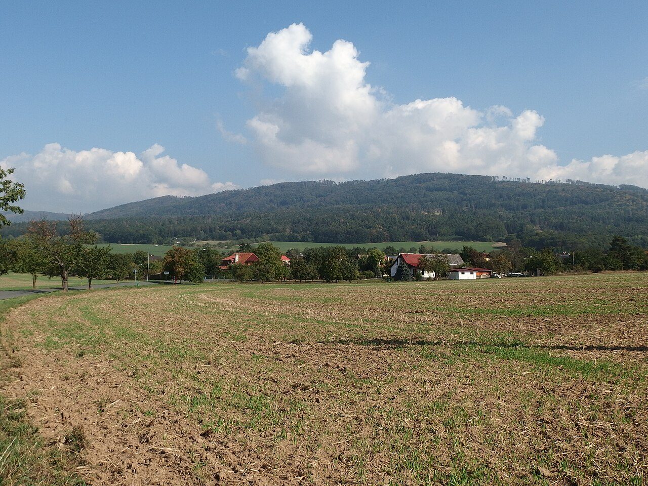 Řídeč