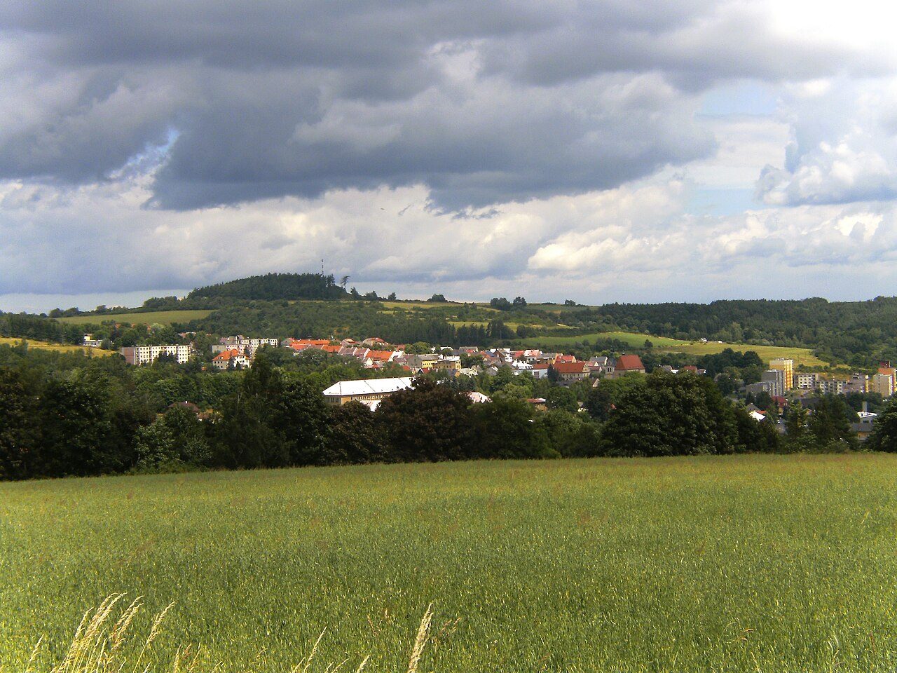 Žlutice
