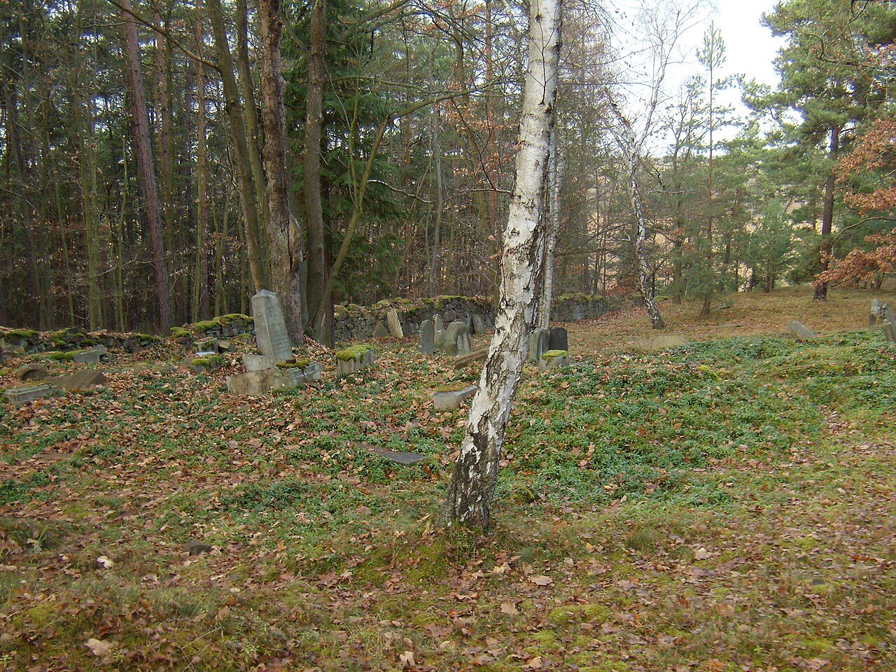 Pňovany