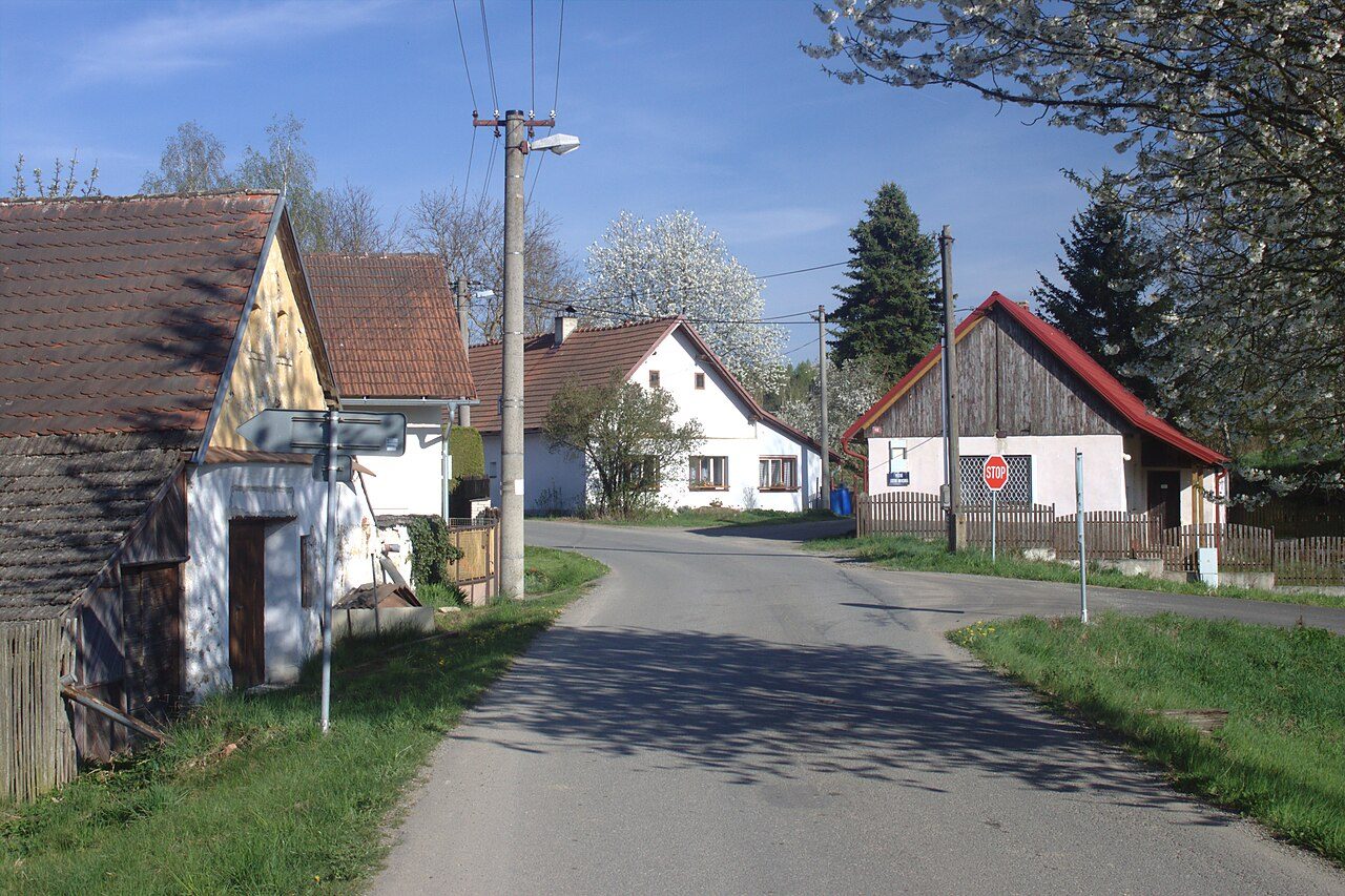 Jedlany