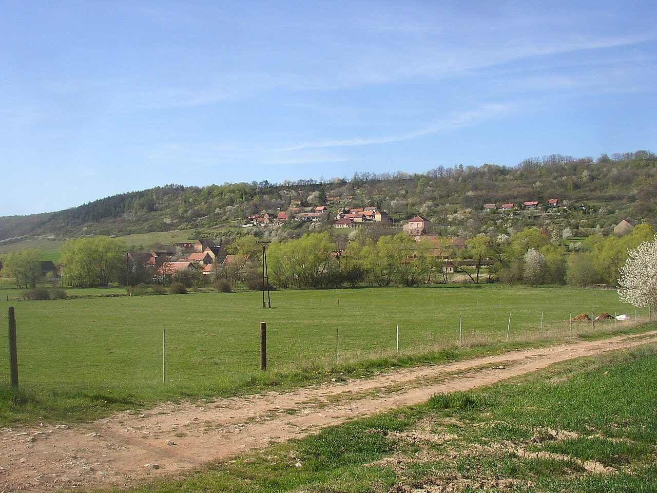 Milý