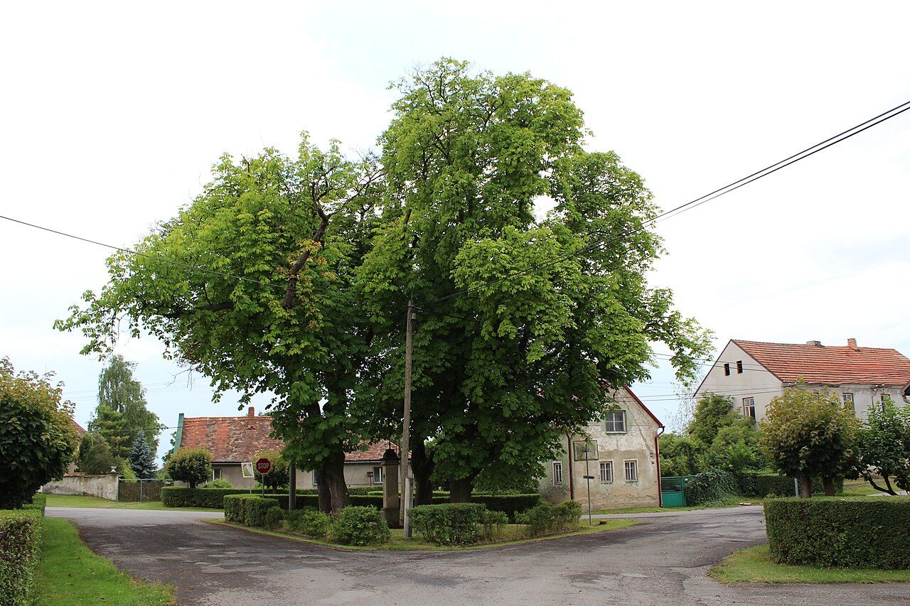Hrušov