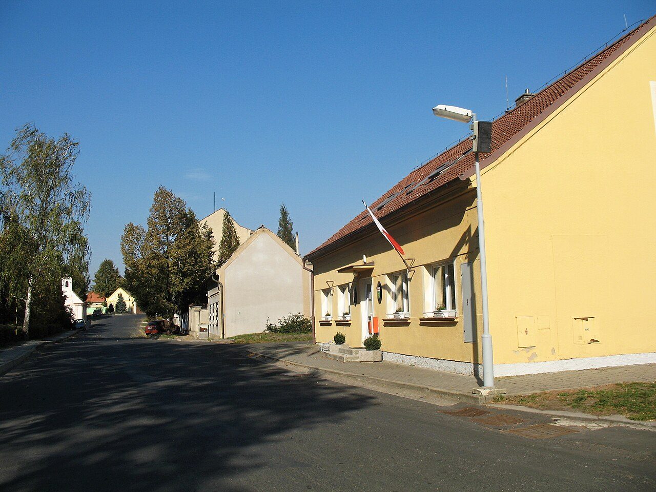 Úpohlavy