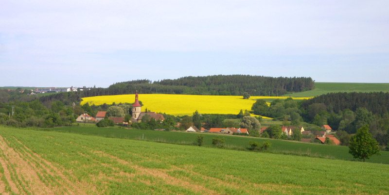 Všehrdy
