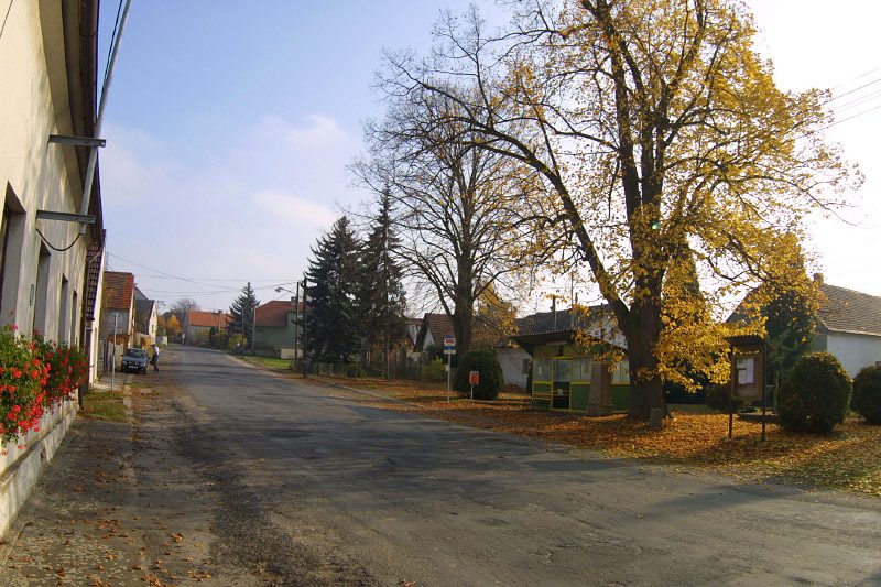 Slatina