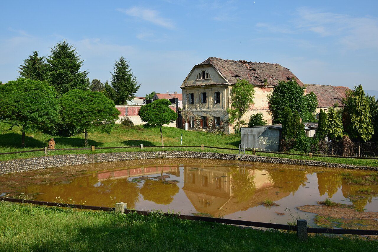 Havraň