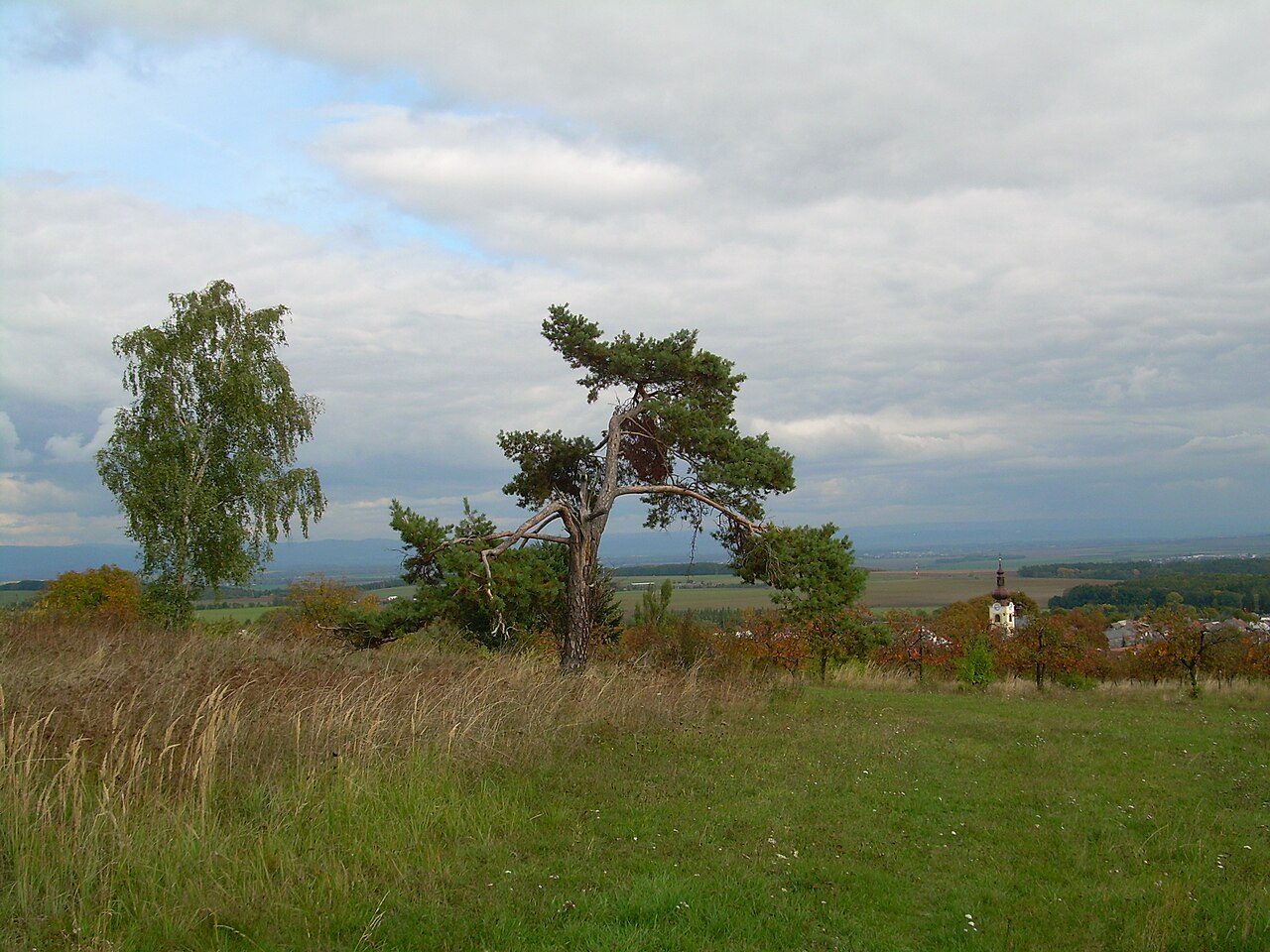 Vilémov