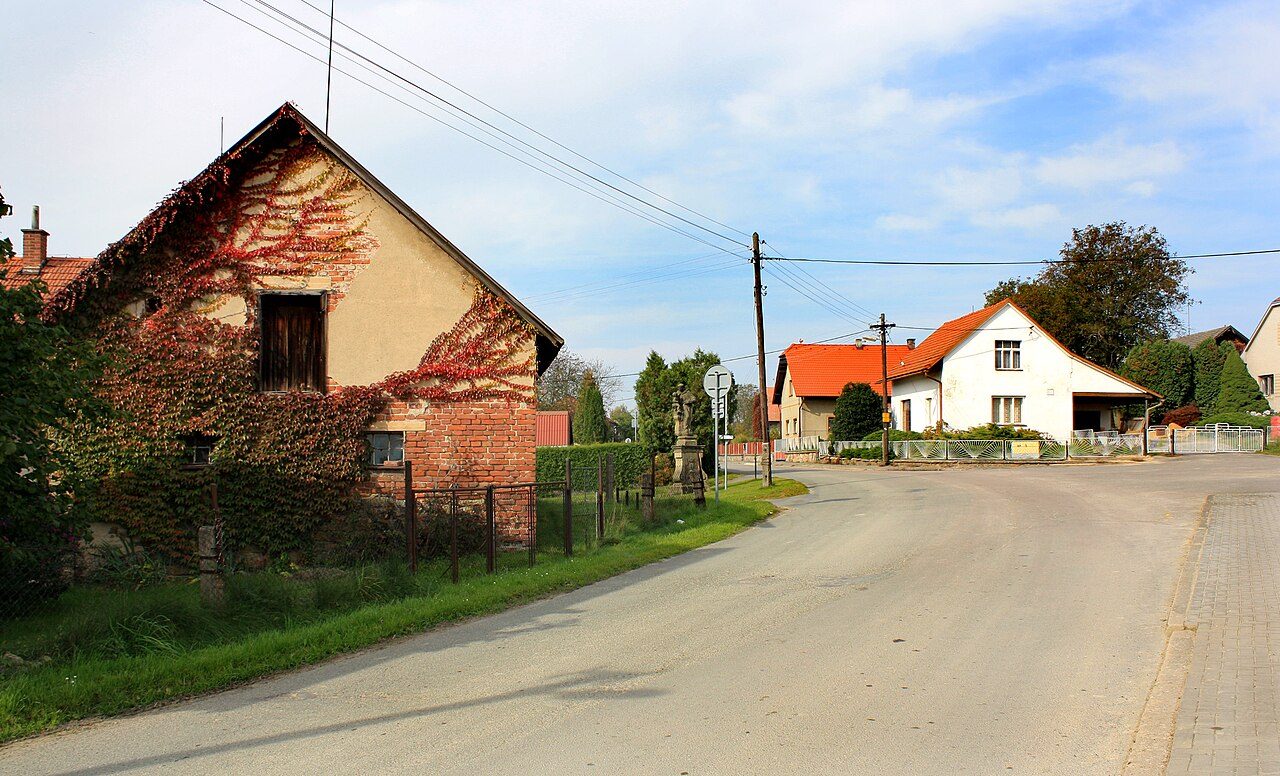 Borovnice