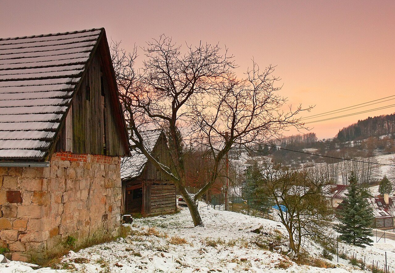Holenice