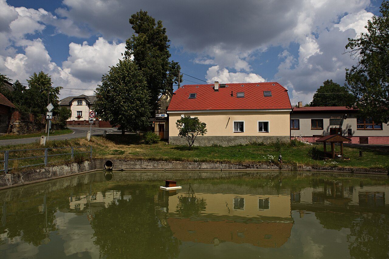 Dražeň