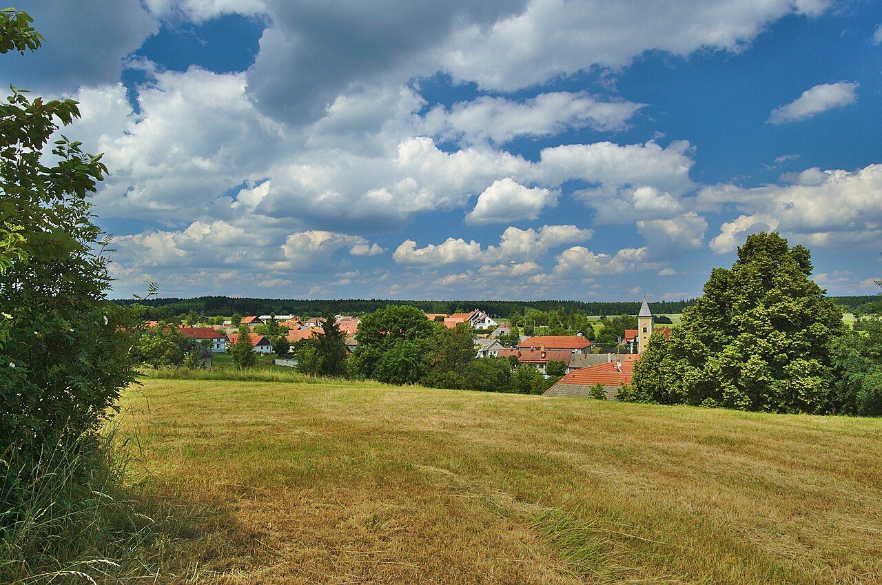 Buková