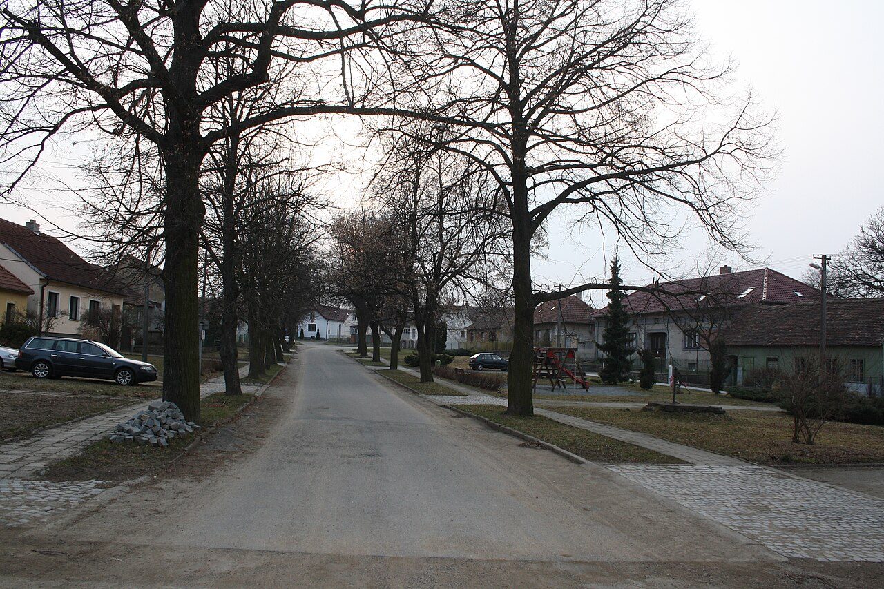 Třebenice