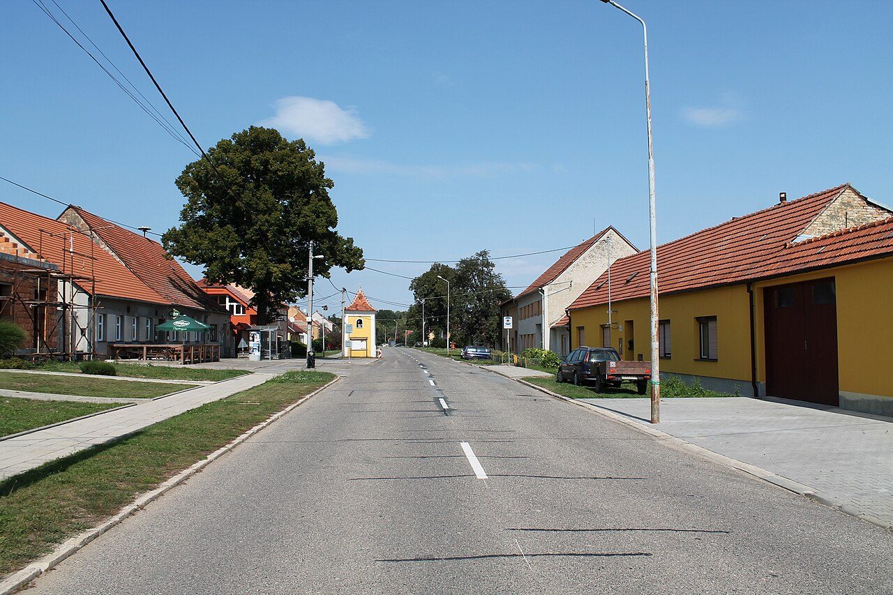 Tučapy