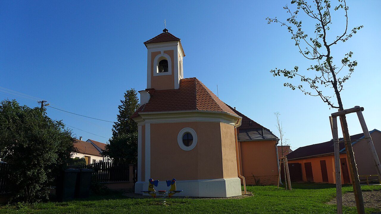 Ctidružice