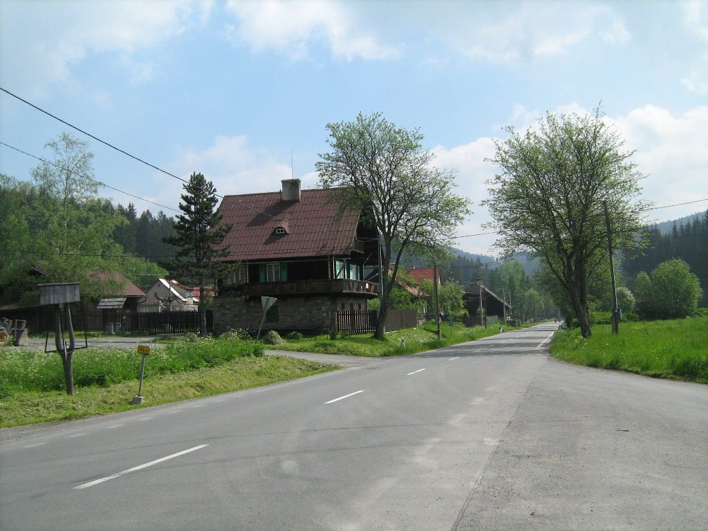 Bílá