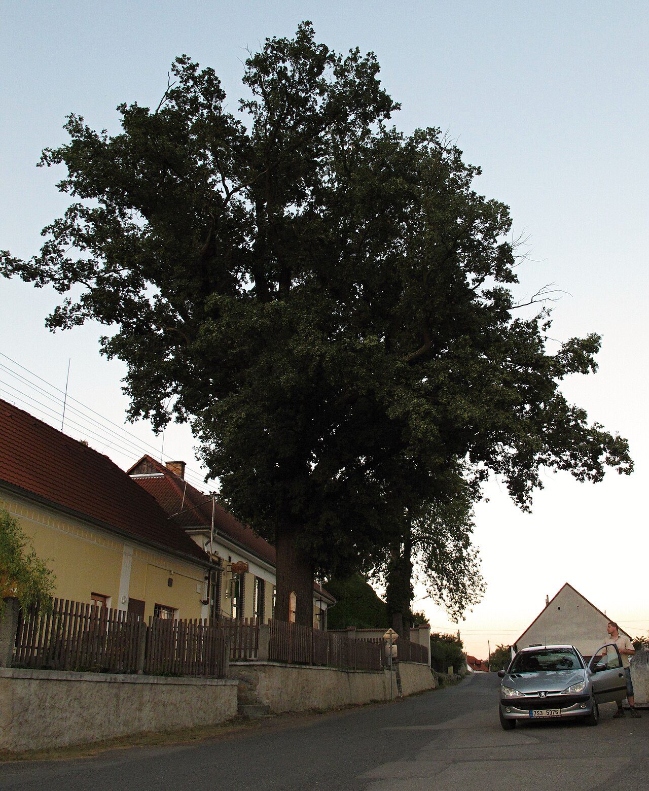 Bezdědovice