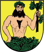 Znak – Město Albrechtice